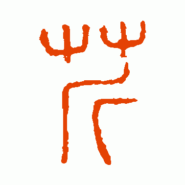 芹