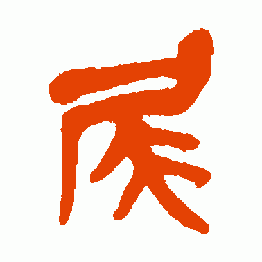 尾