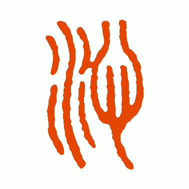 沁