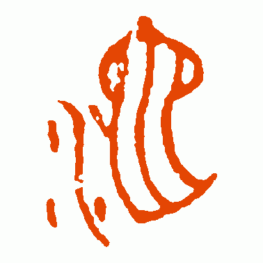 沱