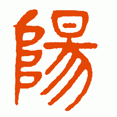 阳