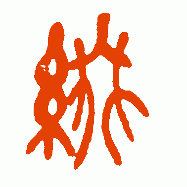 缀