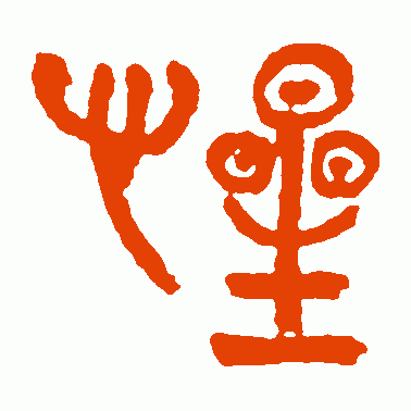 惺