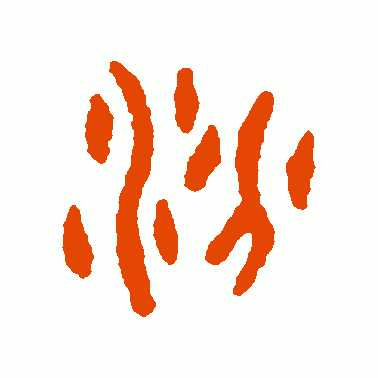 汾