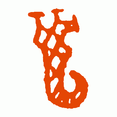 虎