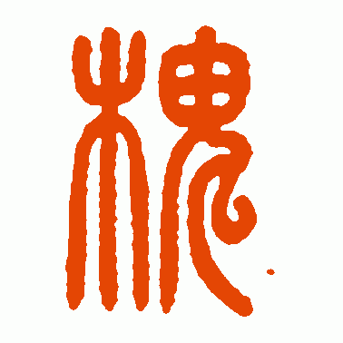 槐