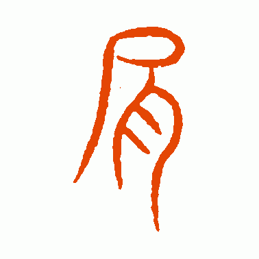 肩