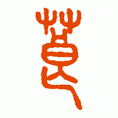 莨
