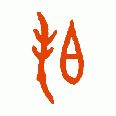 拍