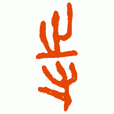 侍