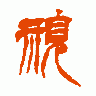 视