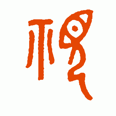 视