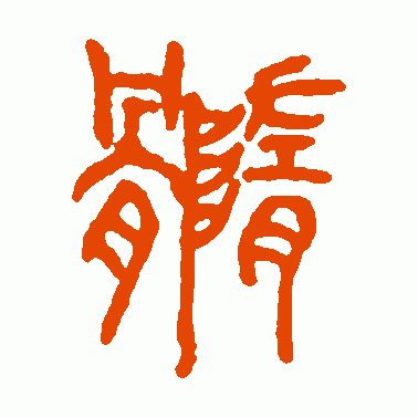 髓