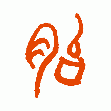 胎